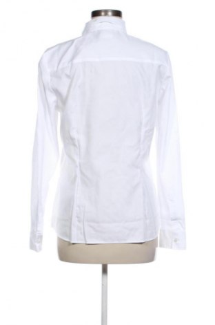 Damenbluse Seidensticker, Größe M, Farbe Weiß, Preis 61,99 €