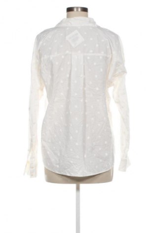 Damska koszula Tom Tailor, Rozmiar M, Kolor Kolorowy, Cena 19,99 zł