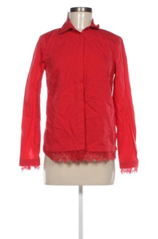 Damenbluse Yest, Größe L, Farbe Rot, Preis 10,99 €