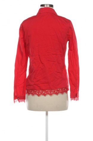 Damenbluse Yest, Größe L, Farbe Rot, Preis 10,99 €