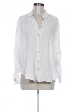 Damenbluse Zara, Größe S, Farbe Ecru, Preis € 13,99