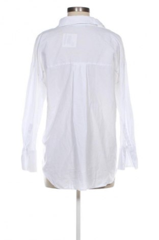 Damenbluse Zara, Größe S, Farbe Weiß, Preis 18,99 €