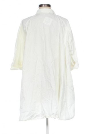 Damska koszula Zara, Rozmiar L, Kolor ecru, Cena 50,99 zł