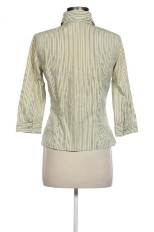 Damenbluse Zara, Größe M, Farbe Mehrfarbig, Preis 14,00 €