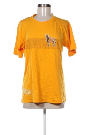 Tricou de femei Collection, Mărime M, Culoare Portocaliu, Preț 44,70 Lei