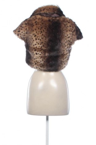 Dámska vesta  Unbranded, Veľkosť S, Farba Viacfarebná, Cena  19,95 €