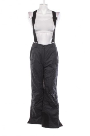 Damski kombinezon do uprawiania sportów zimowych Proline, Rozmiar S, Kolor Kolorowy, Cena 172,99 zł