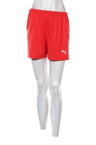 Női rövidnadrág PUMA, Méret M, Szín Piros, Ár 6 739 Ft