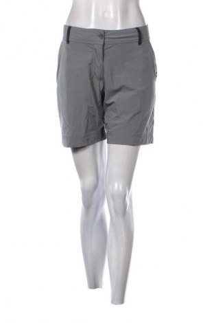 Damen Shorts The Limited Stretch, Größe L, Farbe Grau, Preis € 7,99