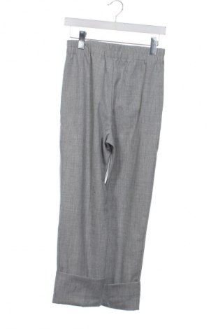 Damskie spodnie Zara, Rozmiar XS, Kolor Szary, Cena 62,07 zł