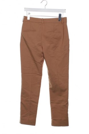 Damenhose Zara, Größe XS, Farbe Braun, Preis € 13,81