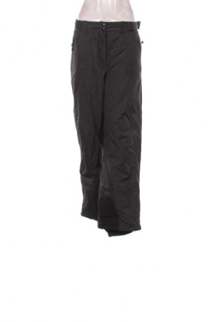 Damenhose für Wintersport Crane, Größe XL, Farbe Grau, Preis € 18,99
