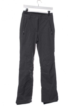 Dámske nohavice pre zimné športy Icepeak, Veľkosť S, Farba Sivá, Cena  42,95 €