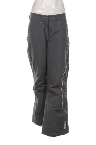 Damenhose für Wintersport TCM, Größe XL, Farbe Grau, Preis € 27,99