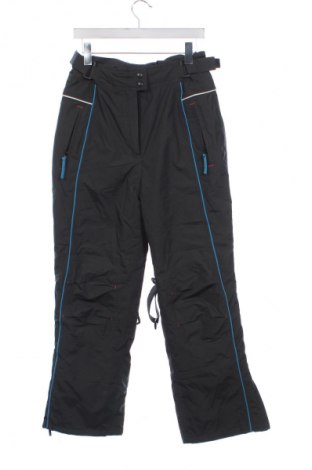 Dámske nohavice pre zimné športy Unbranded, Veľkosť S, Farba Sivá, Cena  29,95 €