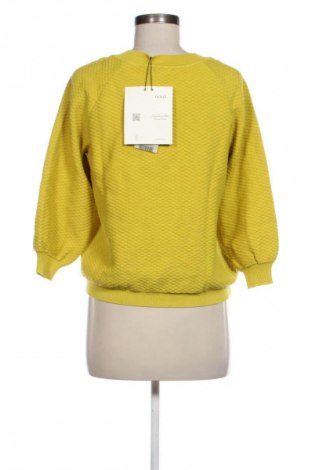 Damenpullover Ivko, Größe M, Farbe Grün, Preis € 75,99