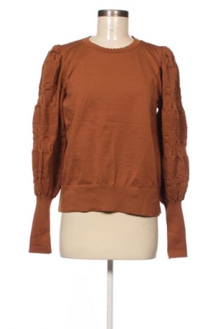 Damenpullover Unbranded, Größe M, Farbe Braun, Preis € 9,99