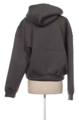 Дамски суитшърт Calvin Klein Jeans, Размер L, Цвят Сив, Цена 157,99 лв.