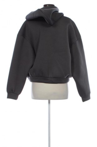Damen Sweatshirt Calvin Klein Jeans, Größe M, Farbe Grau, Preis € 107,99