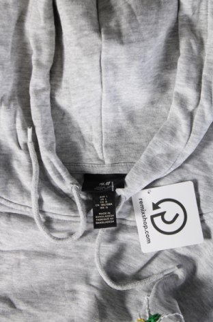 Dámska mikina  H&M, Veľkosť L, Farba Sivá, Cena  10,95 €