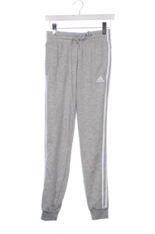 Dámske tepláky Adidas, Veľkosť XXS, Farba Sivá, Cena  20,97 €
