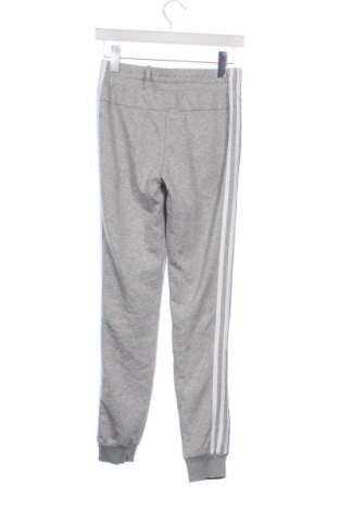 Dámske tepláky Adidas, Veľkosť XXS, Farba Sivá, Cena  20,97 €