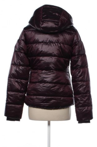 Dámska bunda  Active, Veľkosť S, Farba Hnedá, Cena  29,66 €