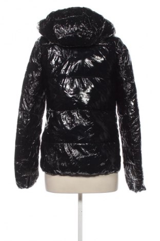 Damenjacke Champion, Größe M, Farbe Blau, Preis € 49,99