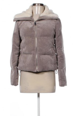 Γυναικείο μπουφάν Fb Sister, Μέγεθος XS, Χρώμα  Μπέζ, Τιμή 30,99 €