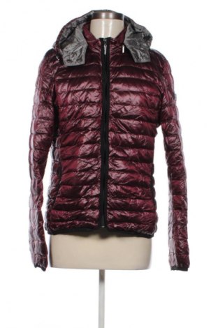 Dámska bunda  Frieda & Freddies, Veľkosť L, Farba Fialová, Cena  44,95 €