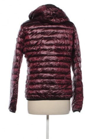 Dámska bunda  Frieda & Freddies, Veľkosť L, Farba Fialová, Cena  44,95 €