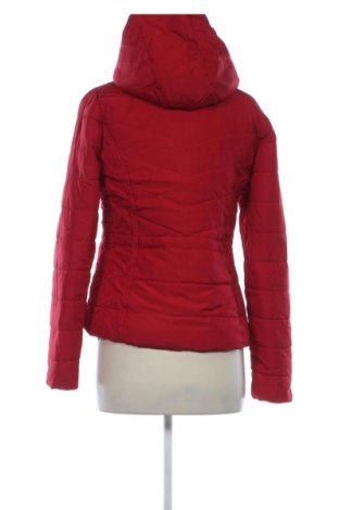 Damenjacke Hollister, Größe S, Farbe Rot, Preis € 43,99