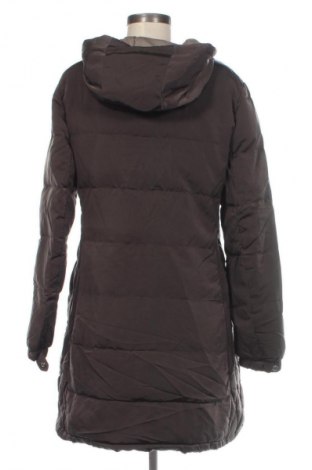 Damenjacke Massimo Dutti, Größe XL, Farbe Braun, Preis € 63,99