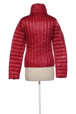 Dámska bunda  Max&Co., Veľkosť S, Farba Červená, Cena  160,00 €