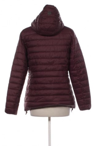 Dámska bunda  North Finder, Veľkosť XL, Farba Fialová, Cena  59,00 €