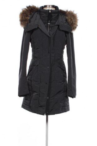 Dámska bunda  Parajumpers, Veľkosť M, Farba Sivá, Cena  147,95 €