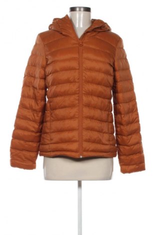 Damenjacke Scheck, Größe S, Farbe Orange, Preis € 11,99