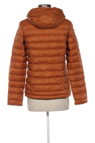 Damenjacke Scheck, Größe S, Farbe Orange, Preis € 11,99
