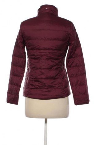 Damenjacke Tommy Hilfiger, Größe XS, Farbe Rot, Preis 91,99 €
