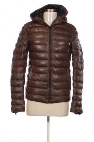 Damenjacke Unbranded, Größe S, Farbe Braun, Preis € 29,99