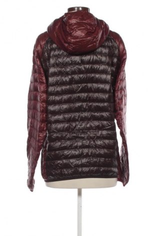 Γυναικείο μπουφάν Uniqlo, Μέγεθος M, Χρώμα Πολύχρωμο, Τιμή 30,99 €