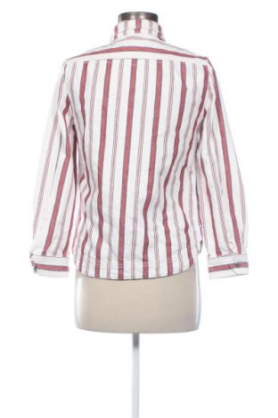 Kurtka damska Zadig & Voltaire, Rozmiar S, Kolor Kolorowy, Cena 551,72 zł