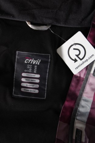 Női dzseki téli sportokhoz Crivit, Méret L, Szín Sokszínű, Ár 14 279 Ft