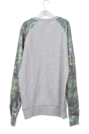 Kinder Shirt Cars Jeans, Größe 15-18y/ 170-176 cm, Farbe Grau, Preis 6,14 €