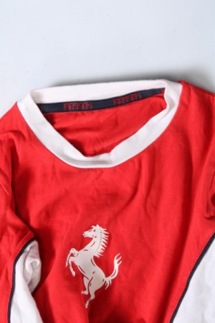 Dětská halenka  Ferrari, Velikost 5-6y/ 116-122 cm, Barva Vícebarevné, Cena  520,00 Kč