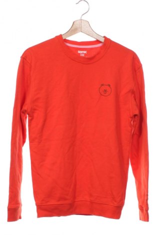 Kinder Shirt Graphix, Größe 15-18y/ 170-176 cm, Farbe Orange, Preis 2,99 €