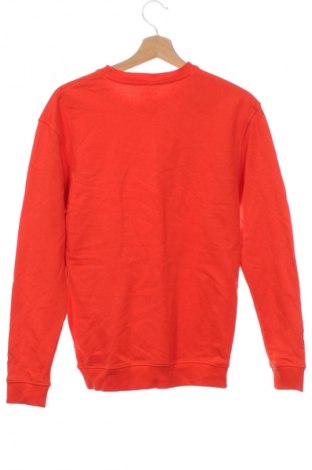 Kinder Shirt Graphix, Größe 15-18y/ 170-176 cm, Farbe Orange, Preis 2,99 €