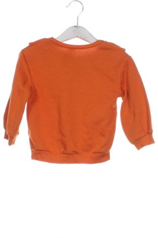 Детска блуза LC Waikiki, Размер 12-18m/ 80-86 см, Цвят Кафяв, Цена 12,00 лв.