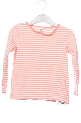 Dziecięca bluzka Lupilu, Rozmiar 2-3y/ 98-104 cm, Kolor Kolorowy, Cena 27,59 zł