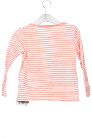 Dziecięca bluzka Lupilu, Rozmiar 2-3y/ 98-104 cm, Kolor Kolorowy, Cena 27,59 zł